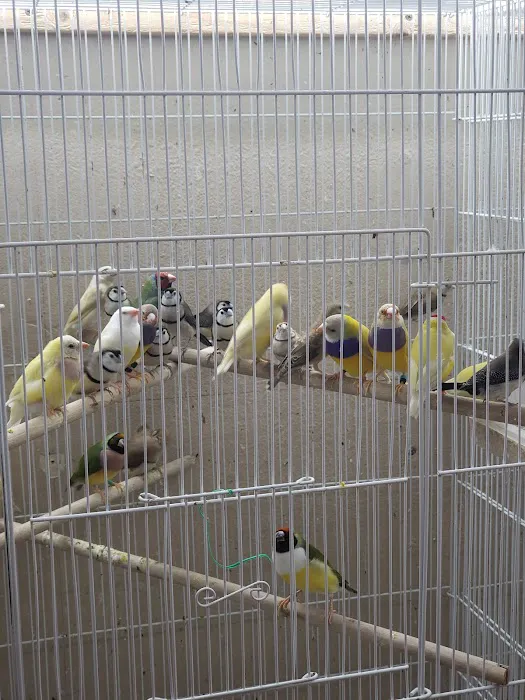 Gomez Pet Shop Picture 2