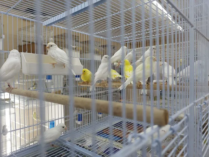 Gomez Pet Shop Picture 3