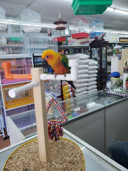 Gomez Pet Shop Picture 4