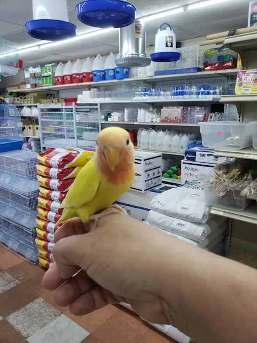 Gomez Pet Shop Picture 6