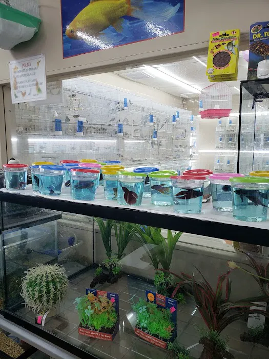 Gomez Pet Shop Picture 8