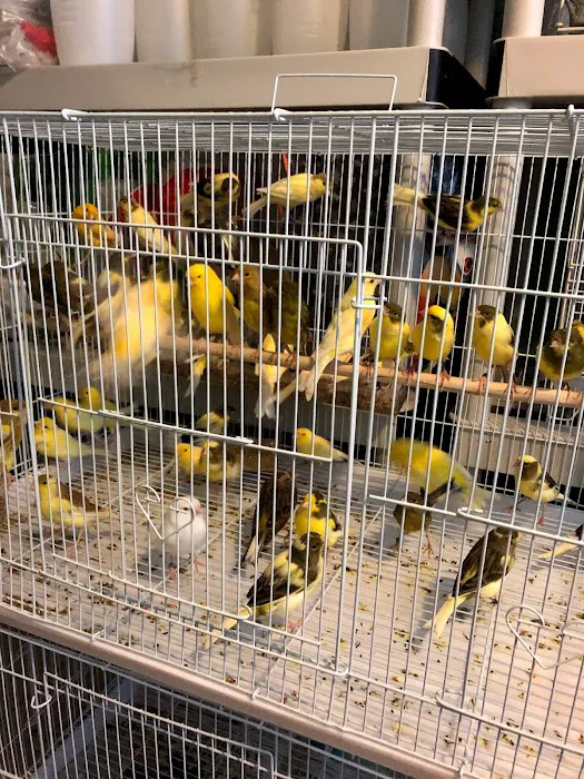 J&M Petshop Picture 1