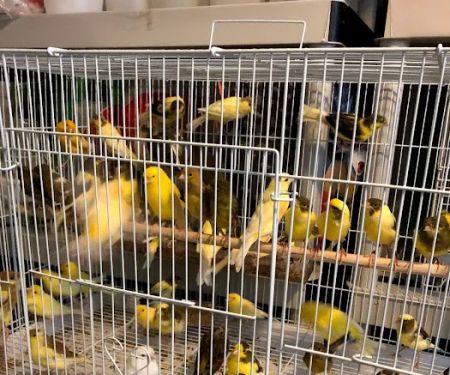 J&M Petshop