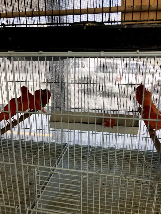 J&M Petshop Picture 2