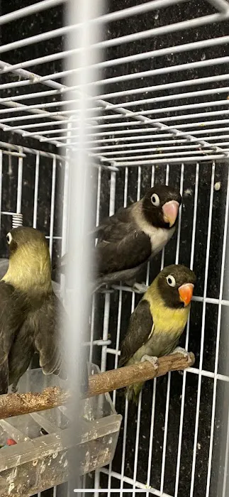 J&M Petshop Picture 9