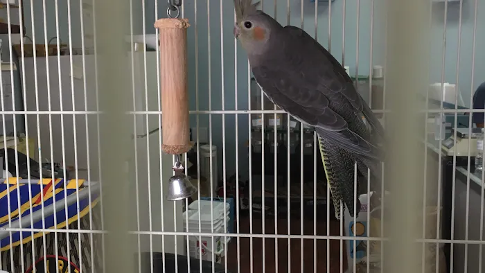 J&M Petshop Picture 10