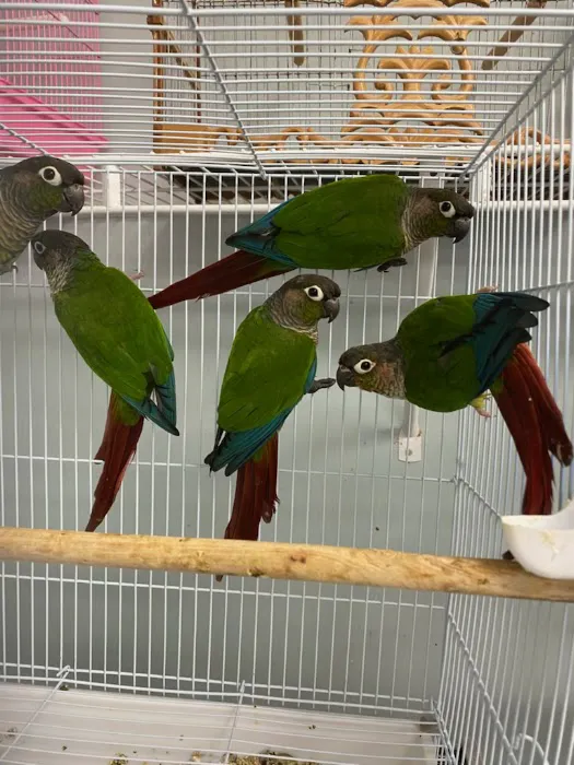 J&M Petshop Picture 5