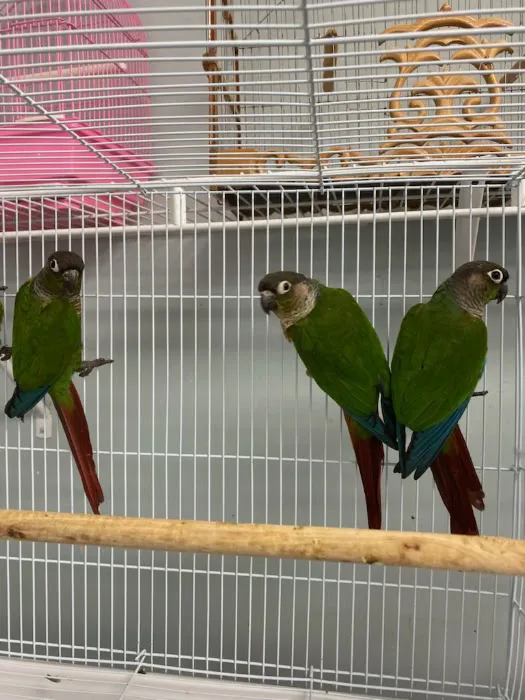 J&M Petshop Picture 8