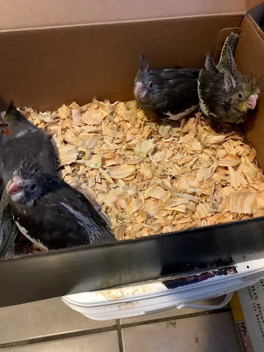 J&M Petshop Picture 3