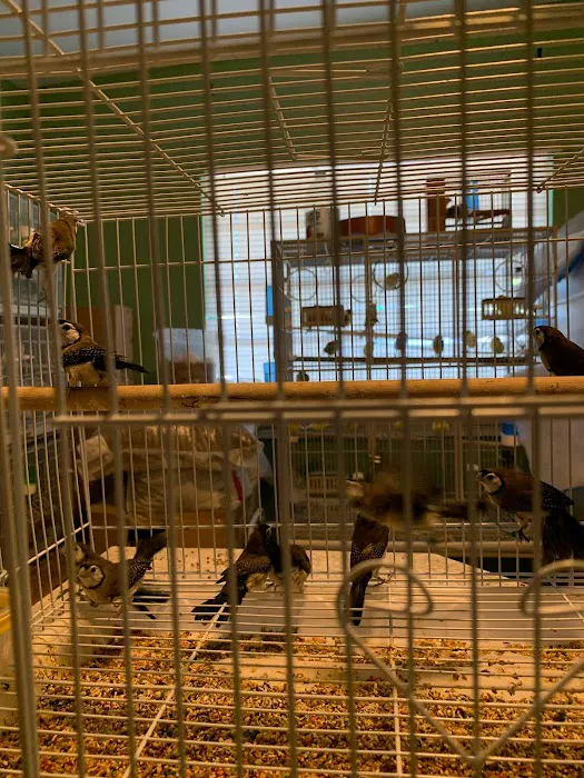 J&M Petshop Picture 6