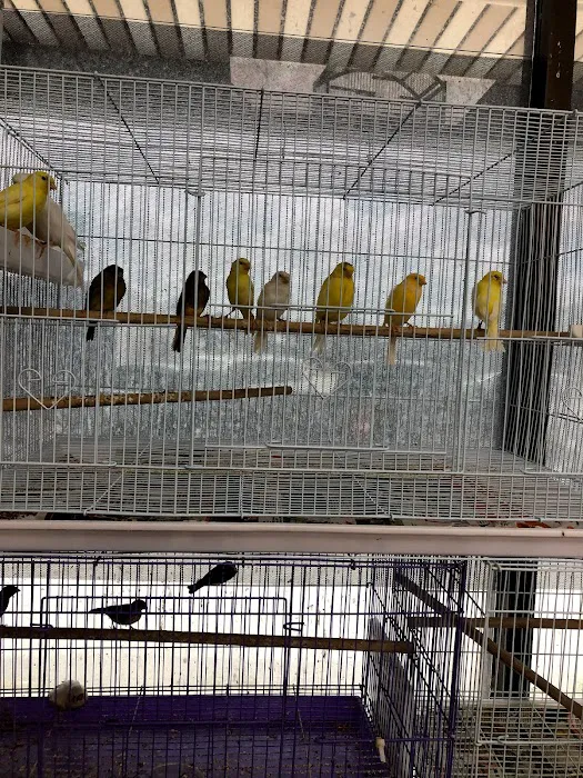 J&M Petshop Picture 7