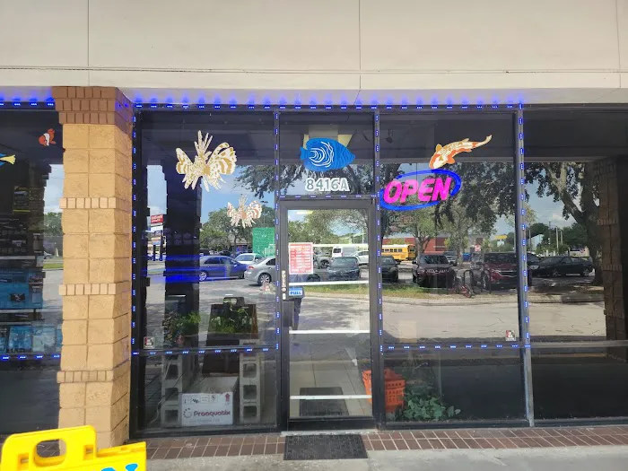 Coral Reef Aquariums Picture 1
