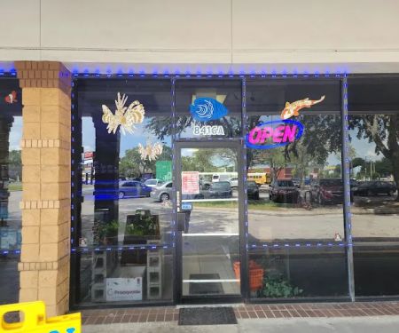 Coral Reef Aquariums