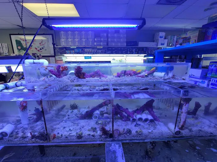Coral Reef Aquariums Picture 3