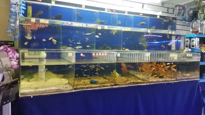 Coral Reef Aquariums Picture 5