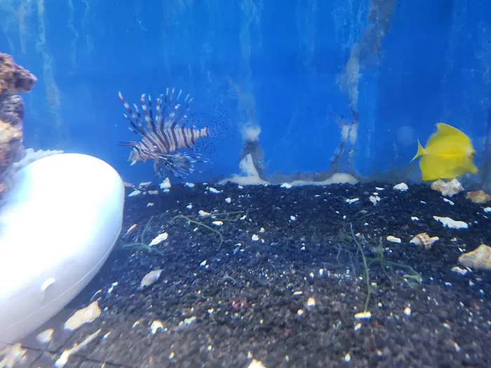Coral Reef Aquariums Picture 7