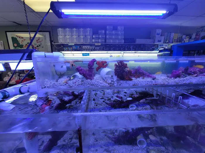 Coral Reef Aquariums Picture 10