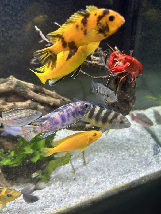 Coral Reef Aquariums Picture 9