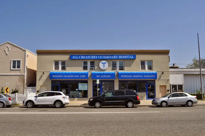 All Creatures Veterinary Services Picture 1