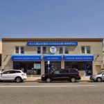 All Creatures Veterinary Services