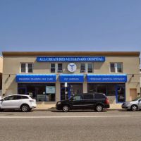 All Creatures Veterinary Services ico