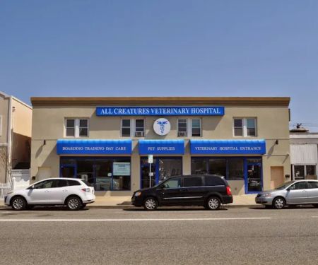 All Creatures Veterinary Services