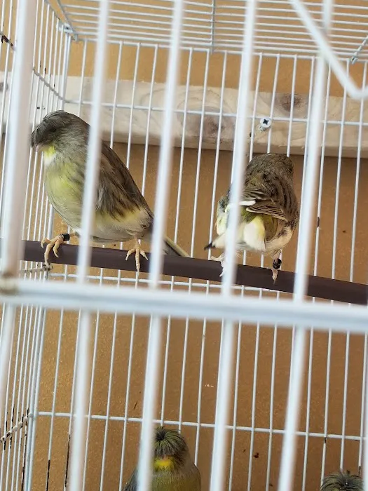 Yoan & Son Pet Shop Picture 7