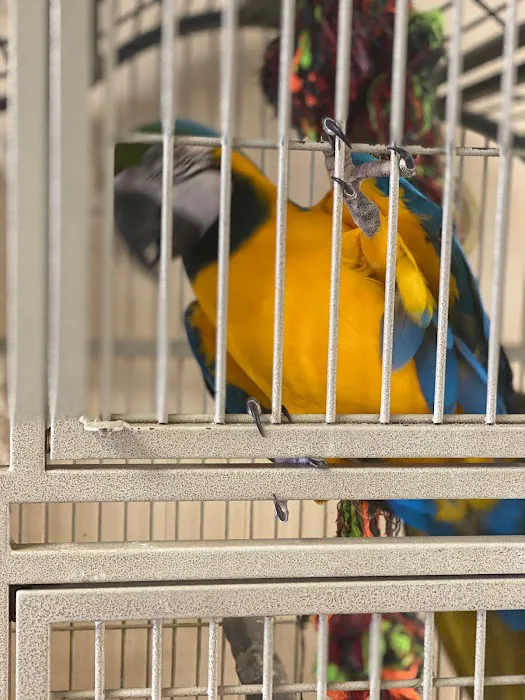 Yoan & Son Pet Shop Picture 10