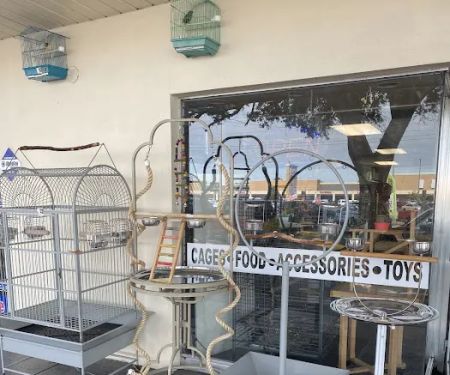 Yoan & Son Pet Shop