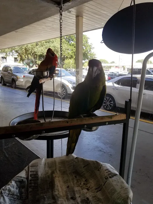 Yoan & Son Pet Shop Picture 2