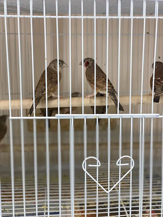 Yoan & Son Pet Shop Picture 4