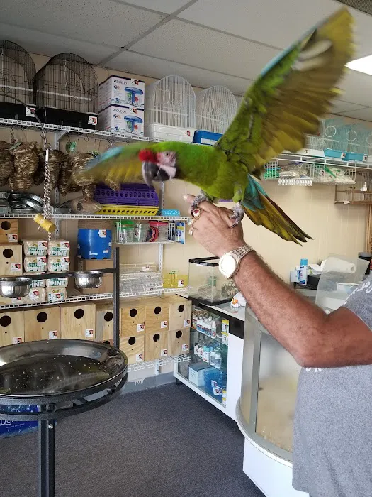 Yoan & Son Pet Shop Picture 3