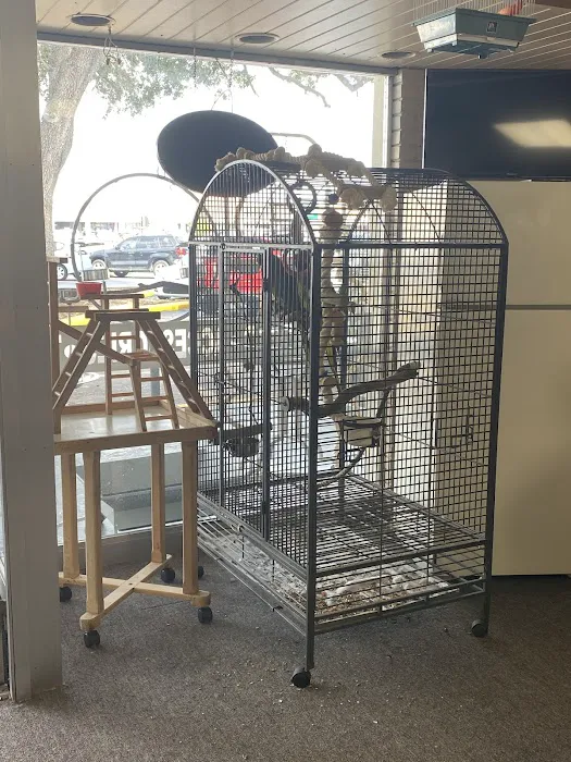Yoan & Son Pet Shop Picture 8