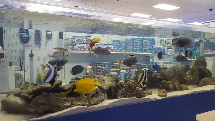 Marine Warehouse Aquarium Picture 1