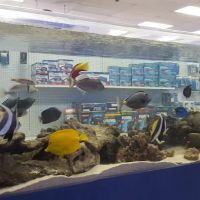 Marine Warehouse Aquarium ico