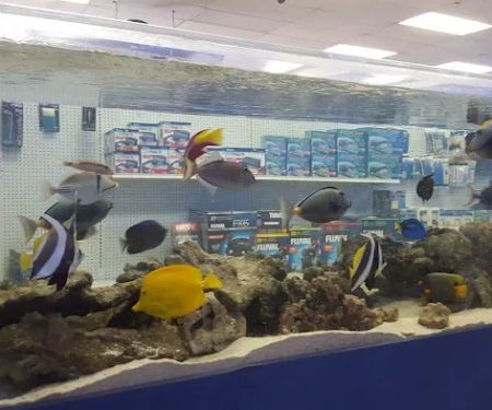Marine Warehouse Aquarium