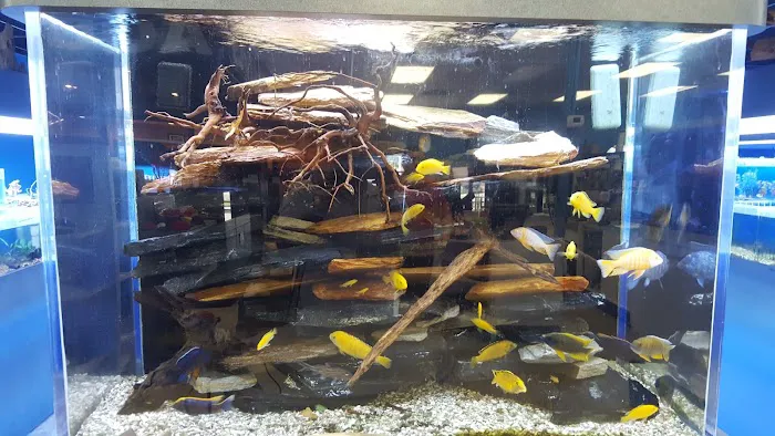 Marine Warehouse Aquarium Picture 7