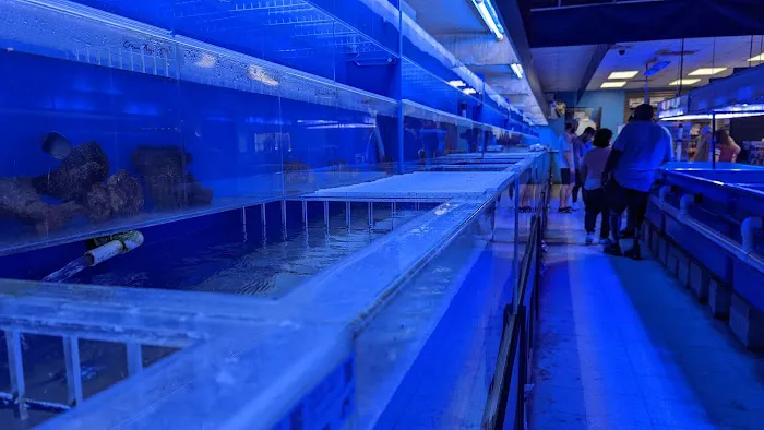 Marine Warehouse Aquarium Picture 5