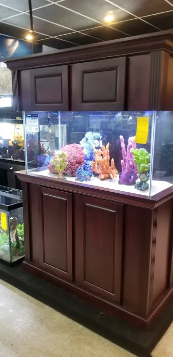 Marine Warehouse Aquarium Picture 4