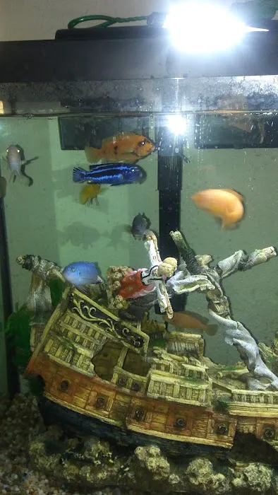 Marine Warehouse Aquarium Picture 3