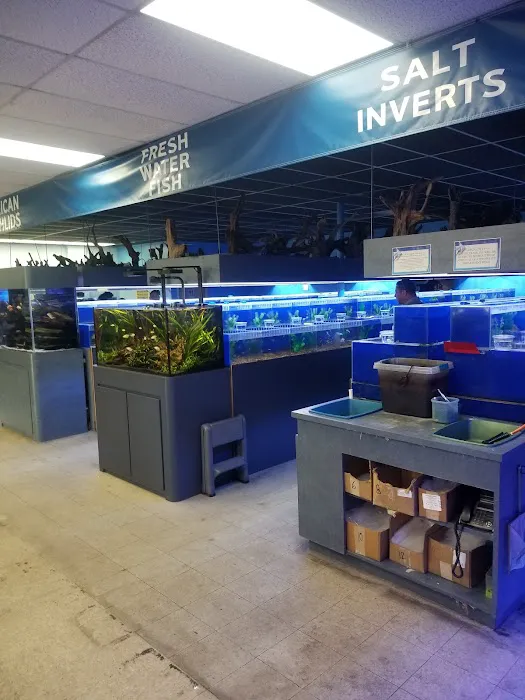 Marine Warehouse Aquarium Picture 2