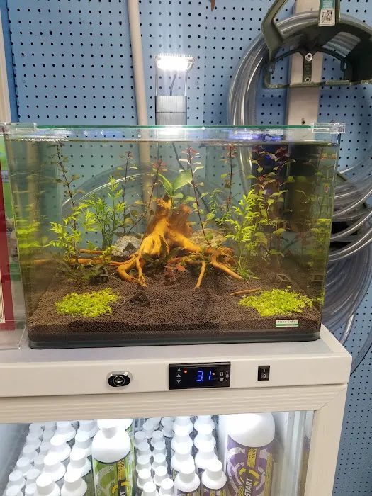 Marine Warehouse Aquarium Picture 10
