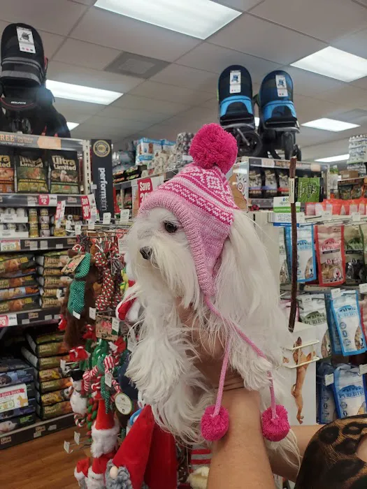 Pet Supermarket Picture 3