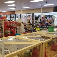 Pet Supermarket ico