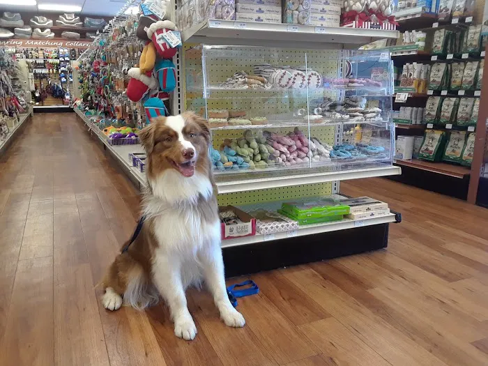 Pet Supermarket Picture 2