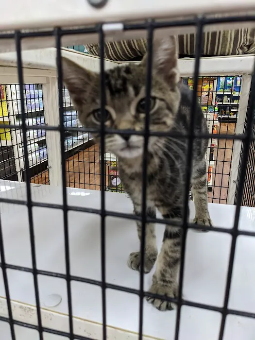 Pet Supermarket Picture 10