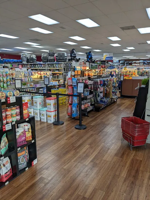 Pet Supermarket Picture 4
