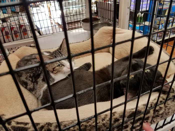 Pet Supermarket Picture 6