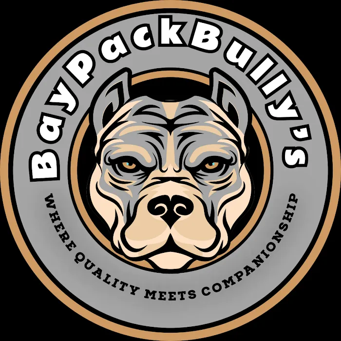 BaypackBullys Picture 1