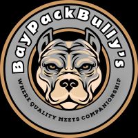 BaypackBullys ico